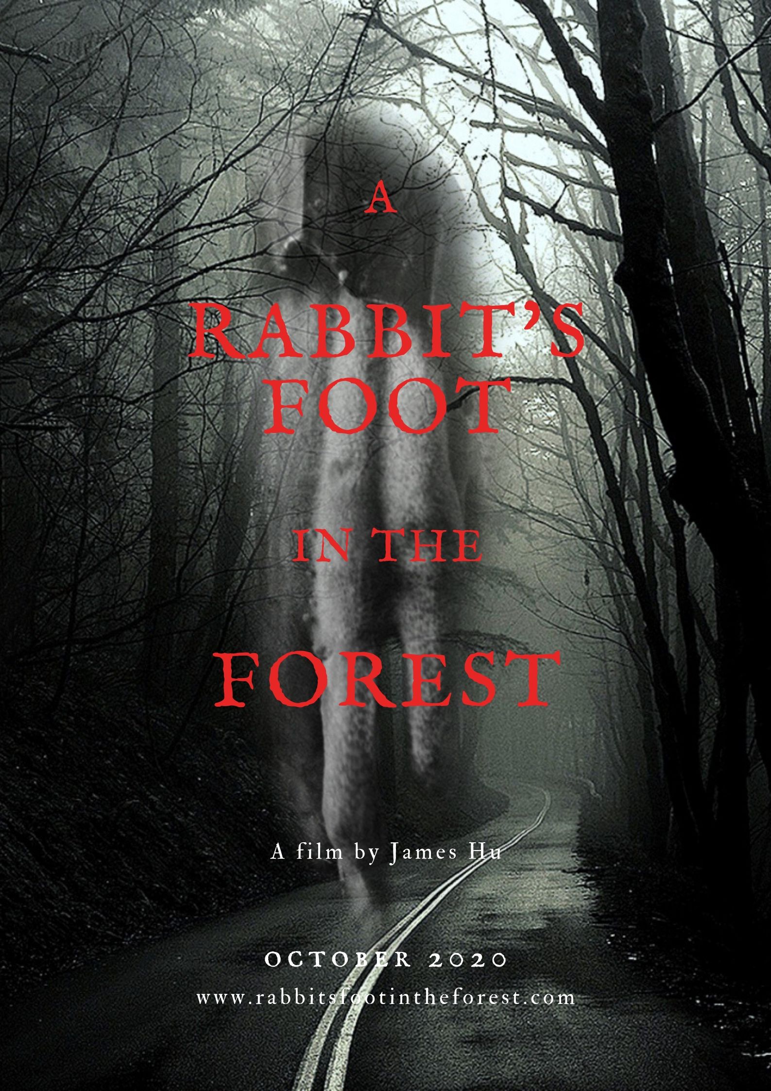 A Rabbit's Foot in the Forest (2020)