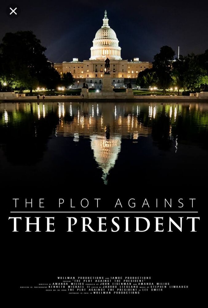 The Plot Against the President (2020)