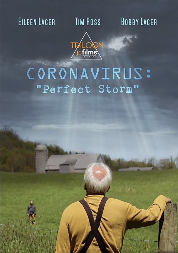 Coronavirus: Perfect Storm (2020)