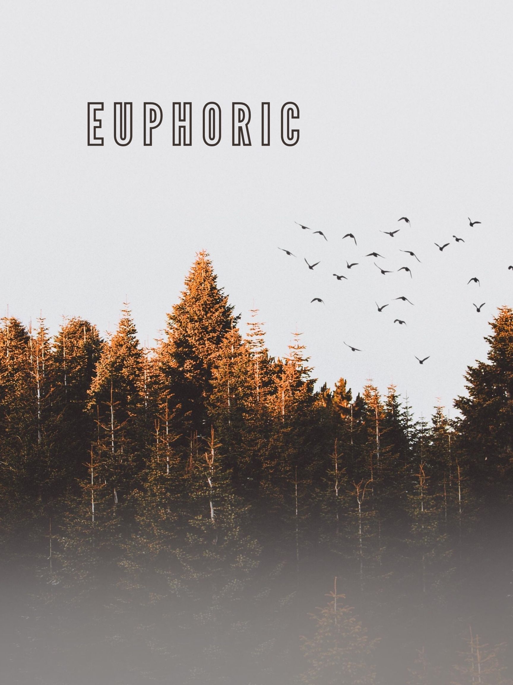 Euphoric (2020)