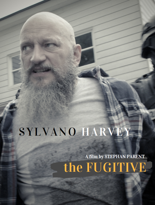 The fugitive (2020)
