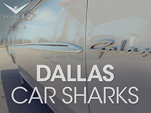 Акулы автоторгов из Далласа (2013)