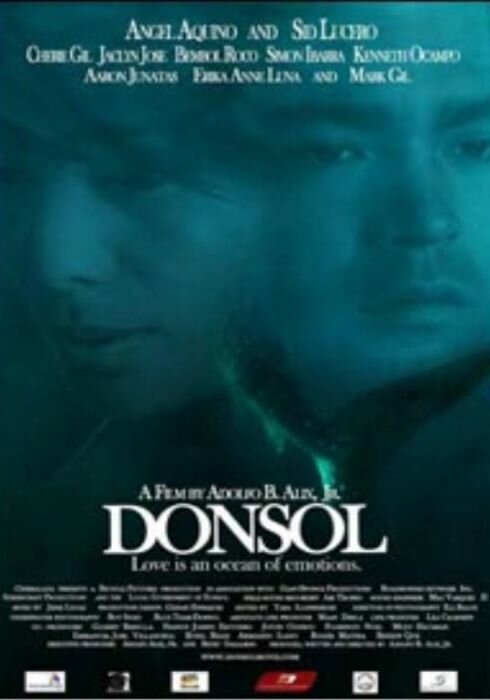 Донсол (2006)