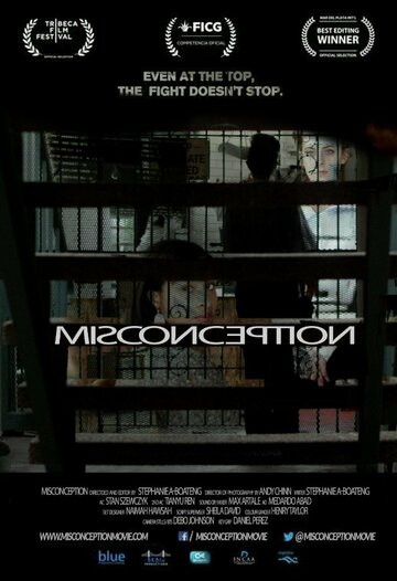 Misconception (2017)