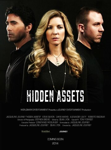 Hidden Assets (2015)