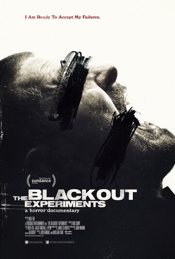The Blackout Experiments (2016)