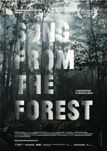 Song from the Forest (2013)