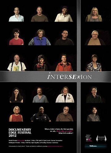 Intersexion (2012)