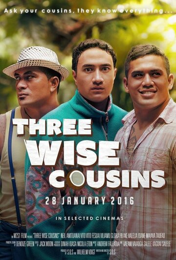 Three Wise Cousins (2016)